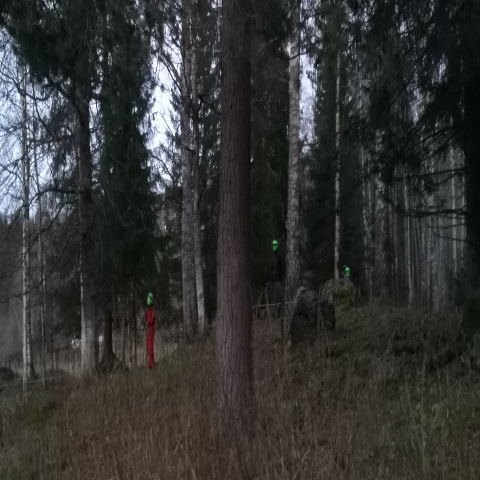 Spilledag 5 November